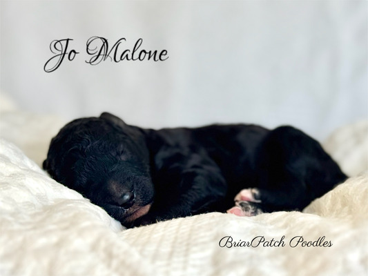Jo Malone