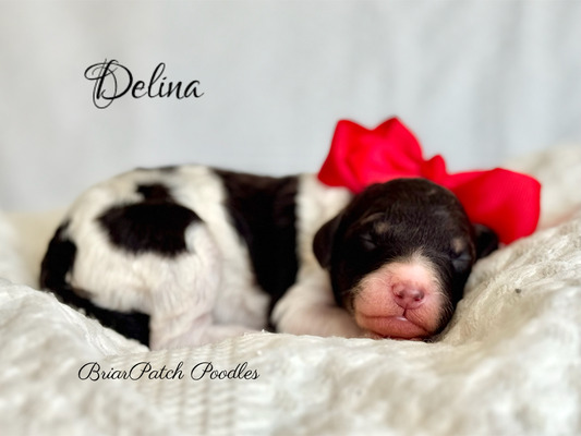 Delina