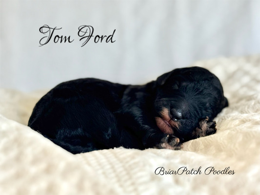 Tom Ford