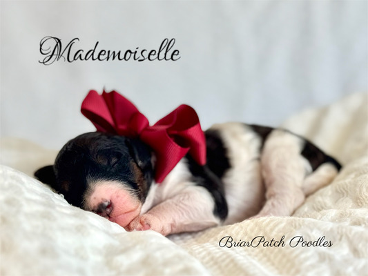 Mademoiselle