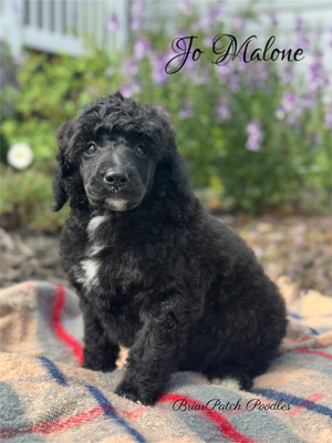 Jo Malone